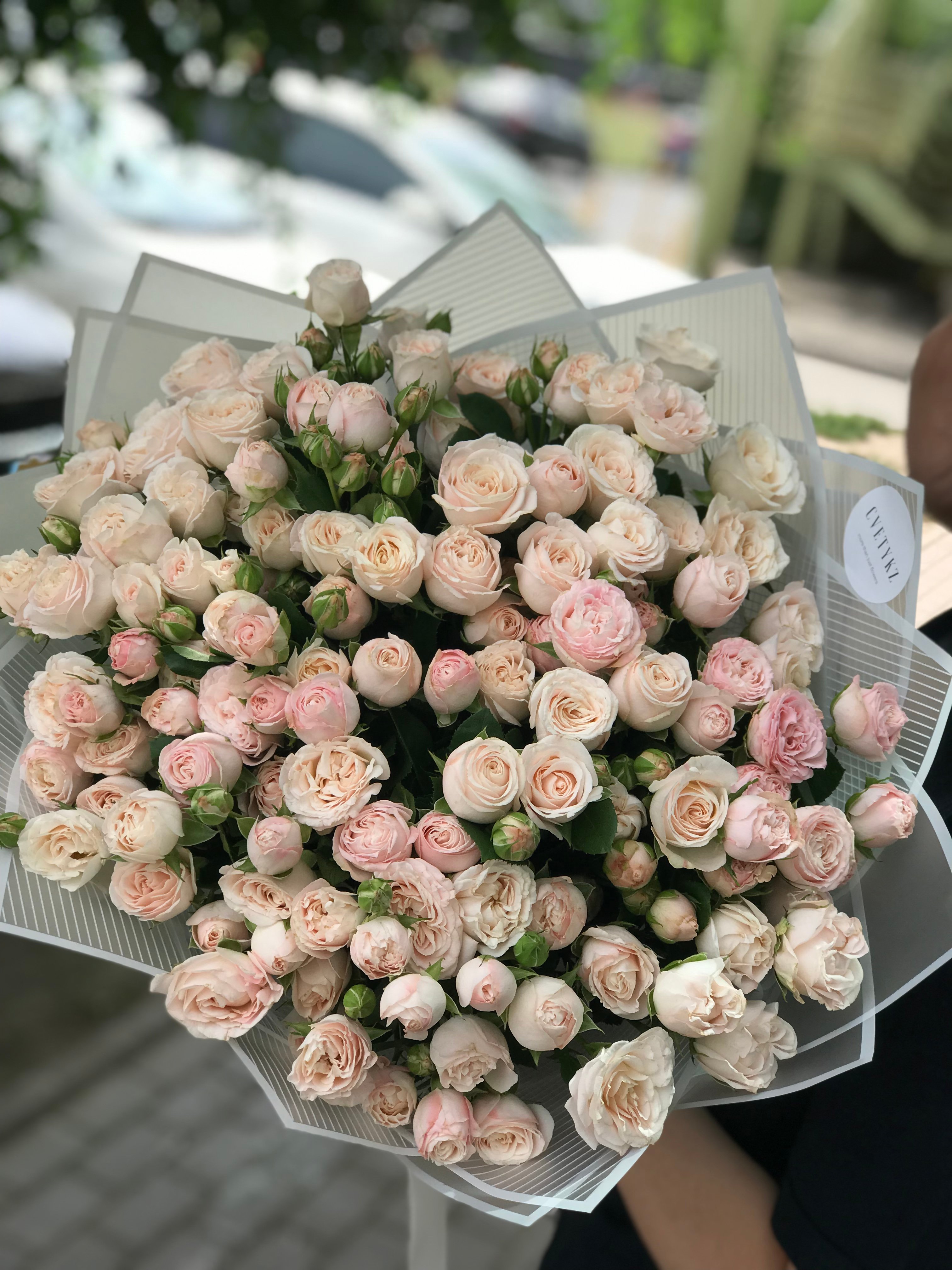 Шикарные пионовидные кустовые розы