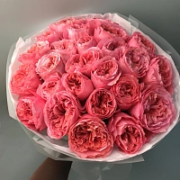 На сайте